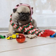 Illustration for article titled Hey, why not watch a bunch of pug puppies reenact emHome Alone?/em